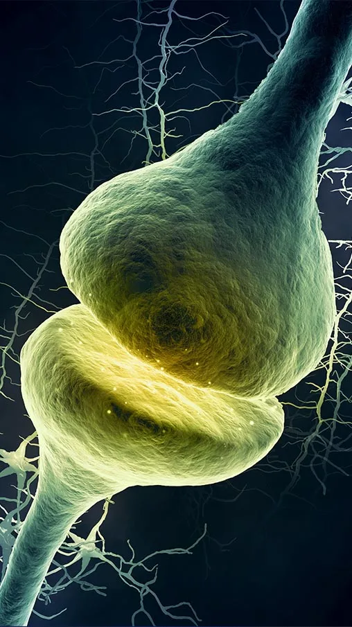 psychomotorische-therapie-zwolle signalen herkennen lichaam